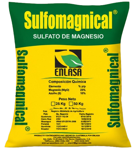 Sulfomagnical WP